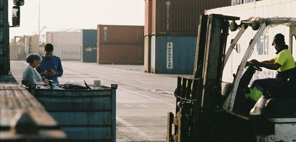 Comercio Exterior, claro y simple
